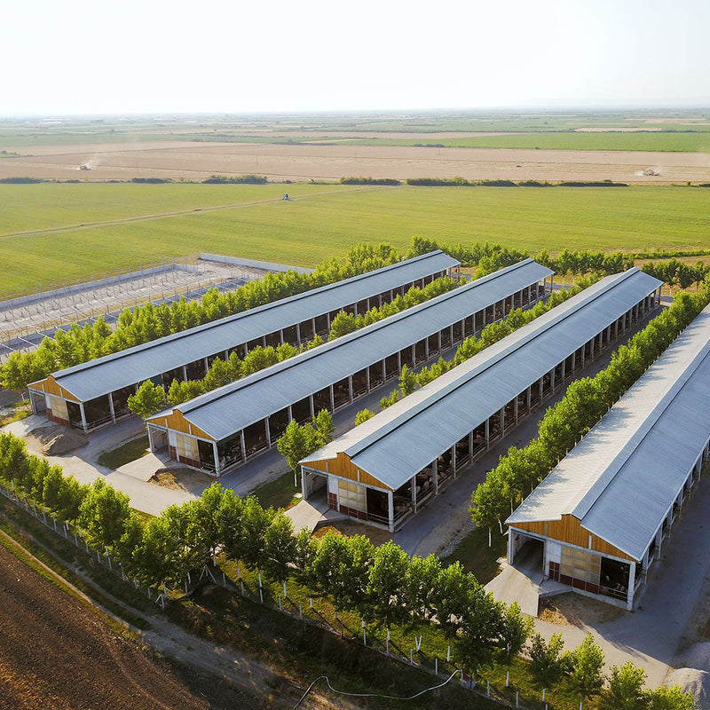 Preventing Avian Flu on Your Poultry Farm