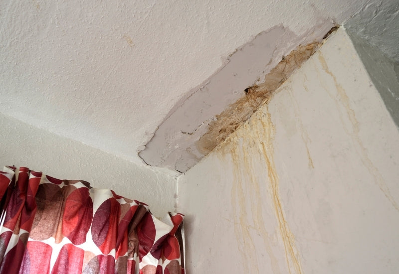 My landlord isn't fixing damp: what are my rights in England and Wales?