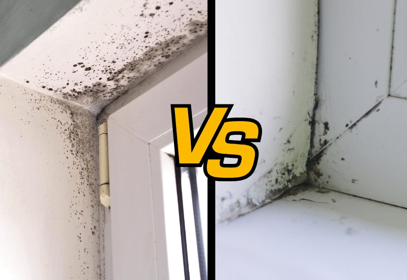 Condensation mould vs penetrating damp: how to tell the difference and why it matters