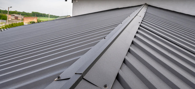 How to clean a shed or outbuilding roof: felt, corrugated plastic and metal