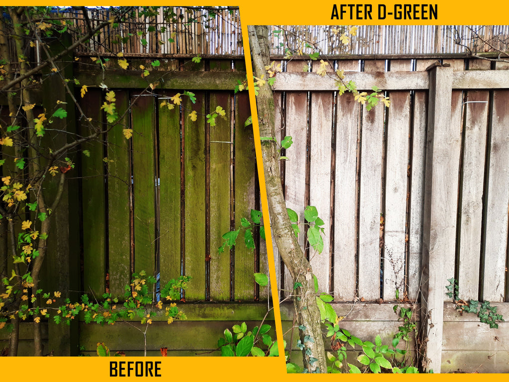 V-TUF D-Green results showing before and after moss removal from paving slabs