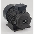 ELECTRIC MOTOR - LOW REV. 415V, 24mm H SHAFT, 5HP, 4 KW - MH.4155